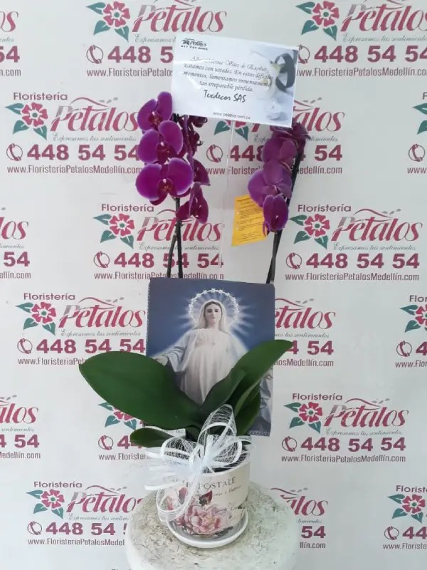 Envigado 105